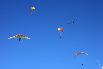 Hangglider and Paraglider Airshow