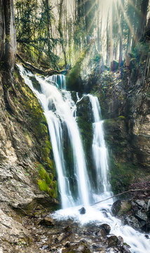 vertical panorama of a gorgeous waterfall in lush green woods with warm sunlight shining through the trees