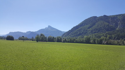 Fototapeta premium Traveling in the alps