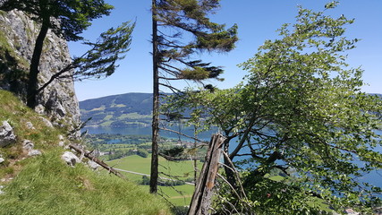 Obraz premium Traveling in the alps