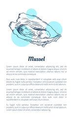 Mussel Marine Creature Hand Drawn Poster with Text