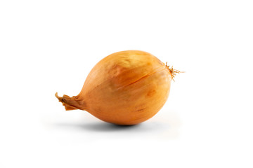 Onion