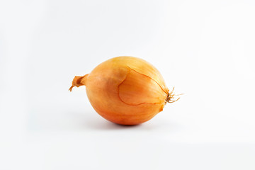Onion