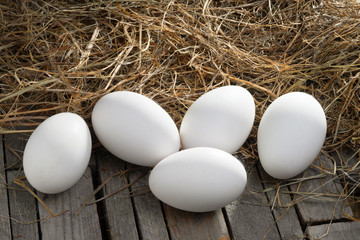 Fresh goose eggs on wooden background. Five large goose eggs. © Oksana