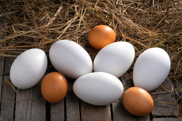 White goose eggs and brown chicken eggs on wooden background.