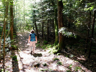 dans la Cheire du Puy de C&ocirc;me