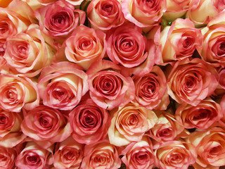 Obraz na płótnie Canvas Close up view of claret roses bouquet
