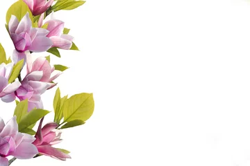 Fotobehang Beautiful blooming magnolia flower bouquet isolated on white background. © swisty242
