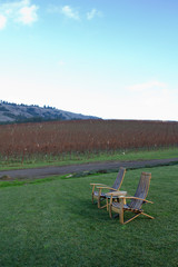 Two Chairs in a Califonia Vineyard