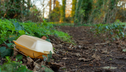 Discarded closed food container litters a forest path