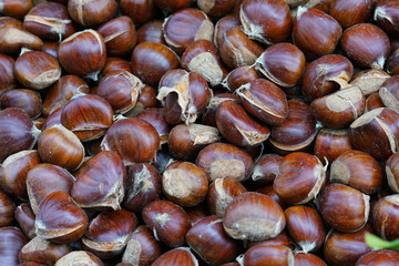 chestnuts at the market