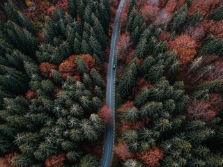 Aerial view of road in beautiful autumn forest at Transylvania,Romania.  