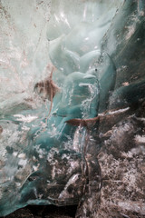 Melting blue glacier in Iceland nature
