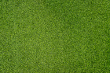 Texture of small green grass background. Close up ground garden.