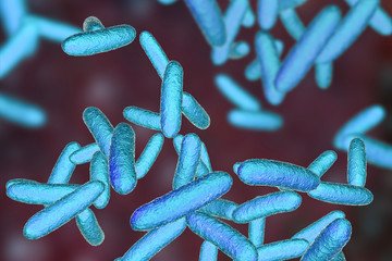 Bacteria Citrobacter, Gram-negative coliform bacteria from Enterobacteriaceae family, 3D illustration. They are found in human intestine and can cause urinary infections, infant meningitis and sepsis - obrazy, fototapety, plakaty