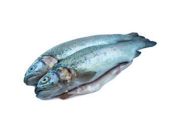 Fish rainbow trout, isolated on a white background. Two trouts over white background. Fish with copy space for text. Rainbow trout isolated on a white.