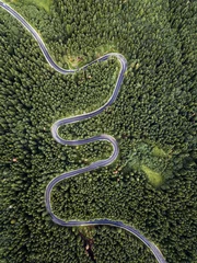 Fotobehang Olijfgroen Mooie kronkelende weg van bovenaf vastgelegd met drone in Transsylvanië, Roemenië