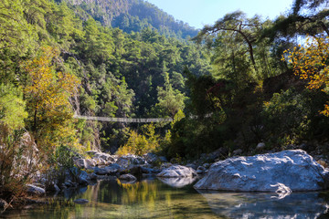 rough mountain river in the canyon