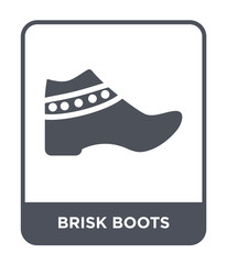 brisk boots icon vector