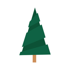 gren tree decoration on white background