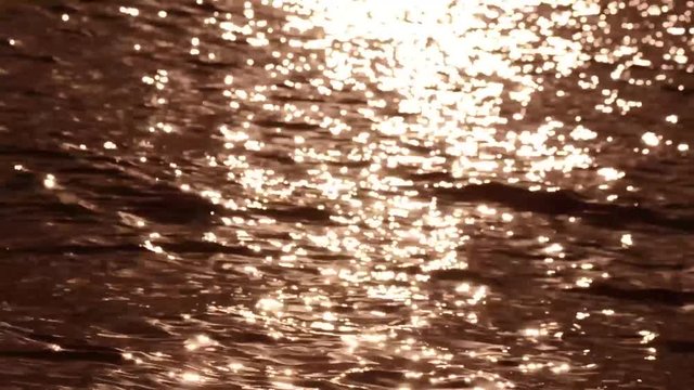 phosphorescence on the sea. The blue sea on a clear spring day, close-up