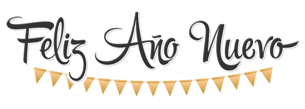 Feliz Ano Nuevo, Happy New Year spanish text, Vector Holiday Lettering design