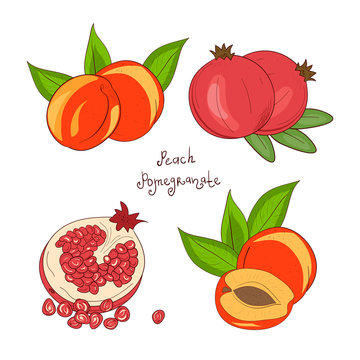 Pomegranate, Peach. Fruit. Sketch doodle. Set.