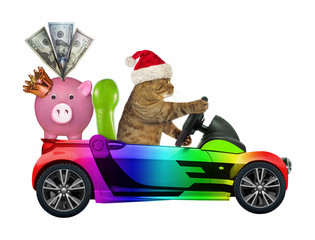 The cat in the Santa Claus hat drives a color cabriolet with a piggy bank in the golden crown. White background