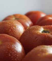 tomatoes with water drops 