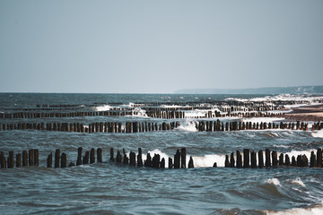 Fototapeta na wymiar Groynes on the beach of the Baltic Sea