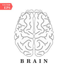 Brain, mind or intelligence line art icon for apps and websites