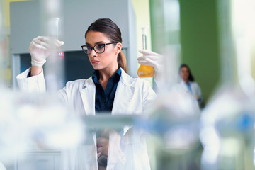 Young female researcher doing laboratory test