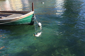 Obraz premium Wood Boat