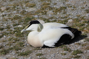 fotos de paisajes varios arboles varios naturaleza 