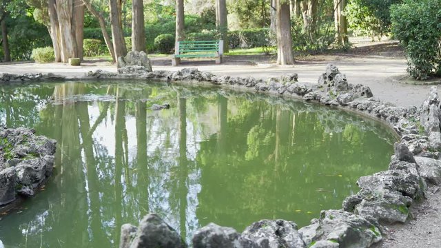 Small pond in the old park