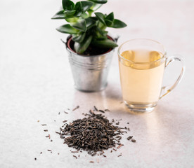 green tea leaves, green tea, drink, growing plant, wellness concept