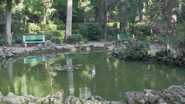 Small pond in the old park
