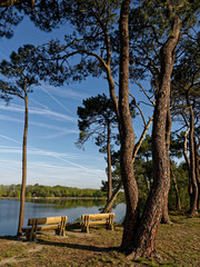 Etang de Bellebouche, M&eacute;zi&egrave;res-en-Brenne, Centre, France