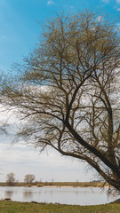 Smartphone HD wallpaper of beautiful view near Steinkirchen - Danube - Bavaria - Germany