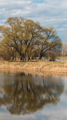 Fototapeta premium Smartphone HD wallpaper of beautiful reflections near Thundorf - Danube - Bavaria - Germany
