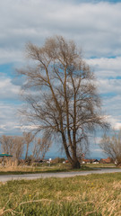Smartphone HD wallpaper of beautiful view near Thundorf - Danube - Bavaria - Germany