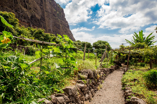 Faj&atilde; dos Padres ( Faja dos Padres) in Madeira island, Portugal. The old stone alley path through the cultivated pieces of land.