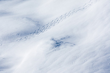 Obraz premium Weisser Tiefschnee mit Schispuren im Hochgebirge
