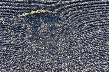 Weathered piece of wood with green moss and frost, as a nature background