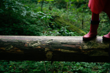 Child Balancing on Tree Trunk, Forest, Childhood, Activity. 