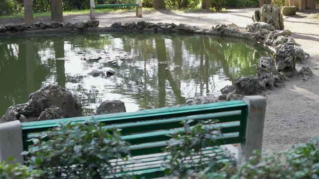 Small pond in the old park