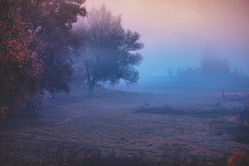 Rural landscape in the early morning. The time before sunrise in the field 