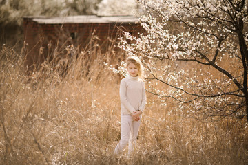 Blonde girl in the blossom garden. Spring background with white flower