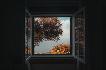 An open window with trees outside