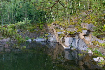 Forest Lake in the summer